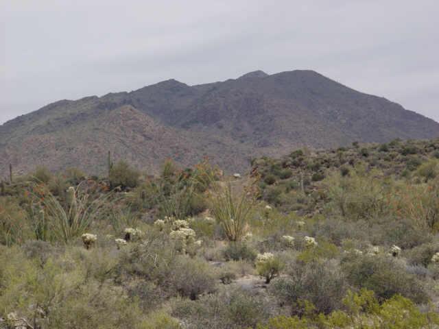 43311 N 65th Pl. #-, Cave Creek, AZ 85331