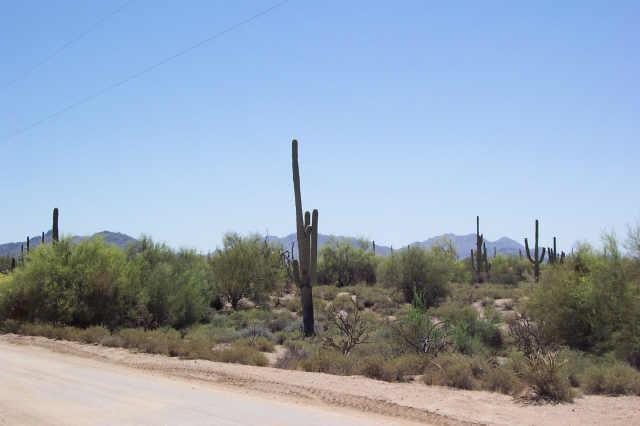 71 E Dale Ln., Scottsdale, AZ 85262