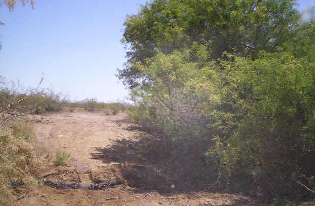 35076 W Dobbins Rd. #241, Tonopah, AZ 85354