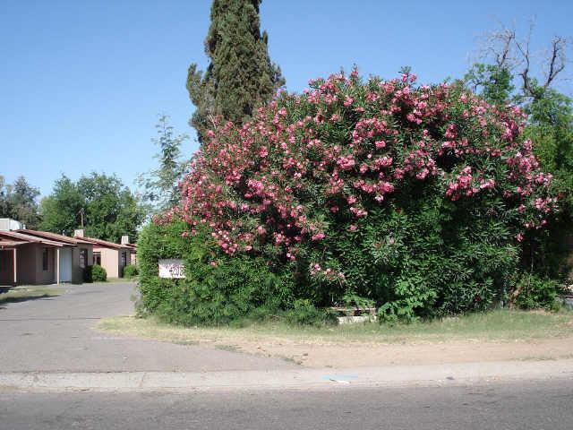 4208 N 17th St., Phoenix, AZ 85016