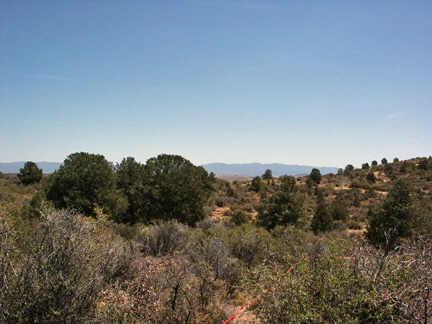 17416 S Oak Dr. #91, Peeples Valley, AZ 86332