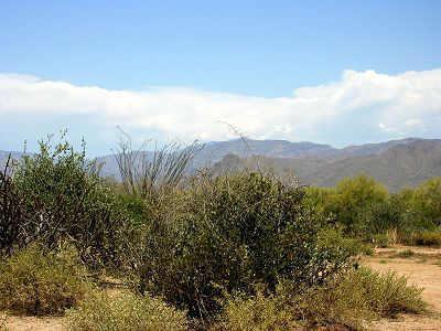 171 E Lone Mountain Rd. #1, Scottsdale, AZ 85262