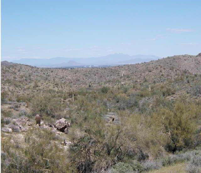 14219 S 20th St. #35, Phoenix, AZ 85048