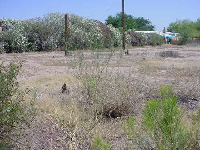 2919 W 13th Ave., Apache Junction, AZ 85220