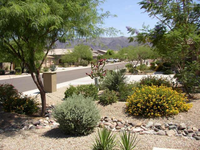 7051 E Cuernavaco Way, Gold Canyon, AZ 85118