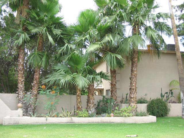 1531 W Colter Ave. #27, Phoenix, AZ 85015