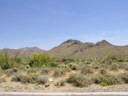 10105 E Calle De Las Brisas St. #35, Scottsdale, AZ 85255