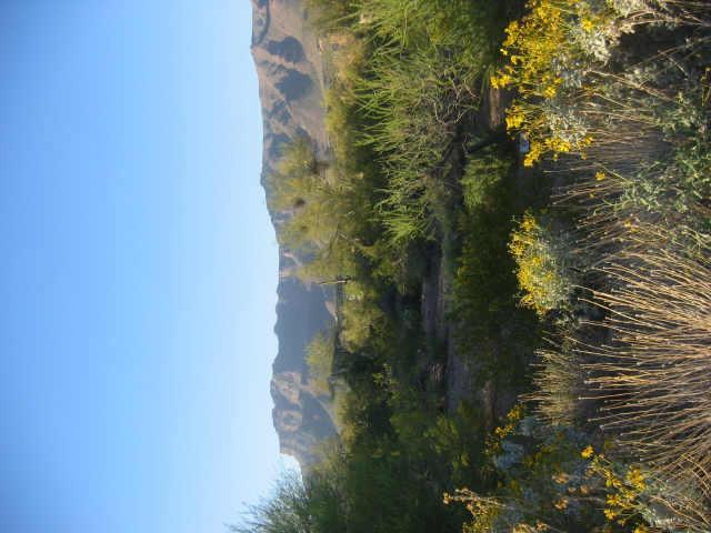 4553 S Strike It Rich #40 Dr. #40, Gold Canyon, AZ 85218