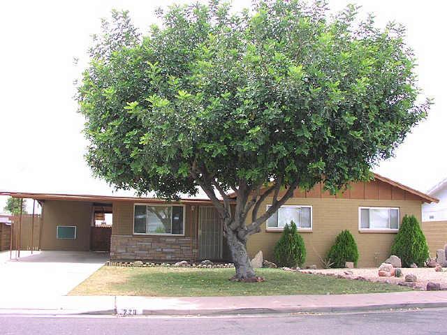 220 N Williams St., Mesa, AZ 85203