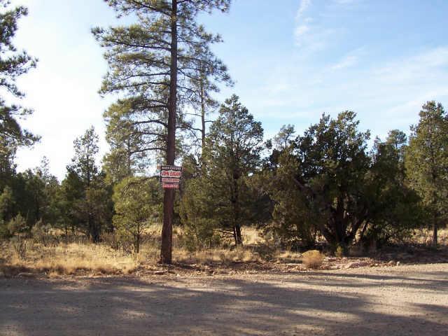 11 N Cedar Ridge Dr., Happy Jack, AZ 86024