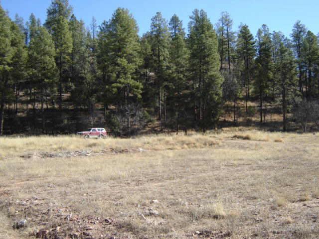 137 Hunter Creek, Christopher Creek, AZ 85541