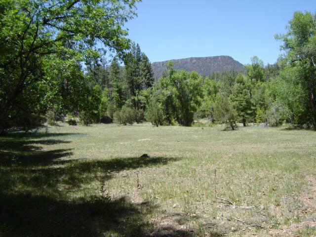91 Memory Ln., Christopher Creek, AZ 85541