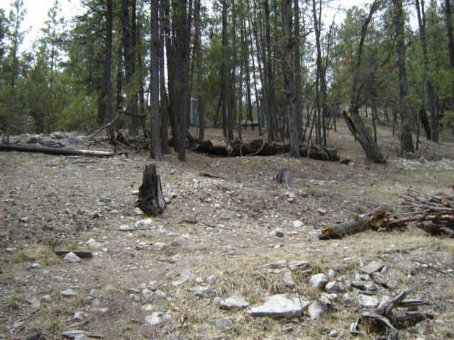 176 Totem Pole Pl., Christopher Creek, AZ 85541