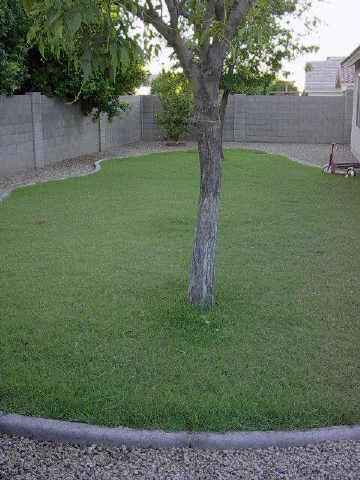 5705 E Hampton Cir., Mesa, AZ 85206