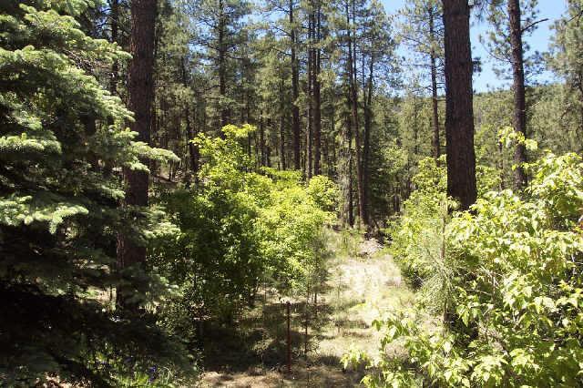 3697 E Mary May Ln., Prescott, AZ 86303