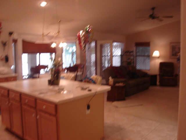 917 E Betsy Ln., Gilbert, AZ 85296