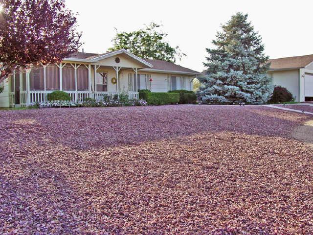 18696 S Jerry Holbrook Rd., Peeples Valley, AZ 86332
