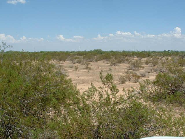3205 N Hualapai Dr. #12, Toltec, AZ 85231