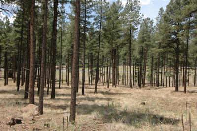 3305 N Granite Ridge #2, Flagstaff, AZ 86001