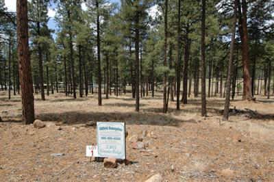 3215 N Granite Ridge #1, Flagstaff, AZ 86001