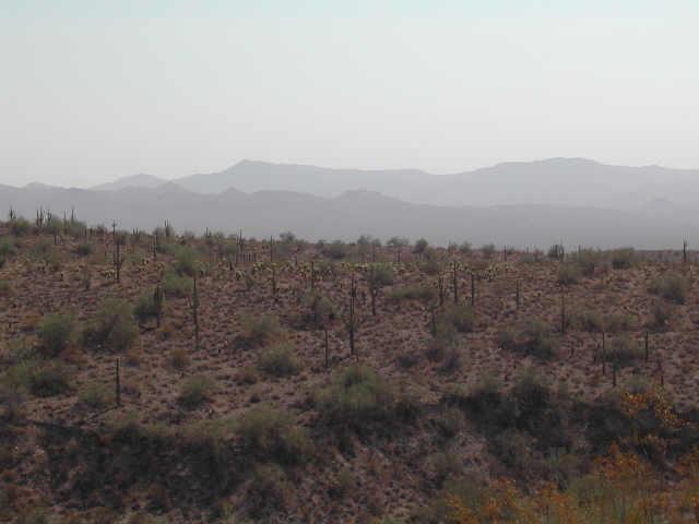 15602 E Centipede Dr. #1A, Fountain Hills, AZ 85268