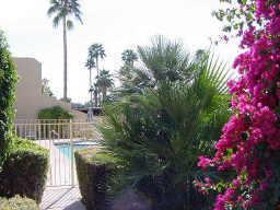 7343 E Northland Dr., Scottsdale, AZ 85251