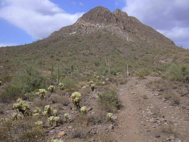 46500 N 35th Ave., New River, AZ 85087