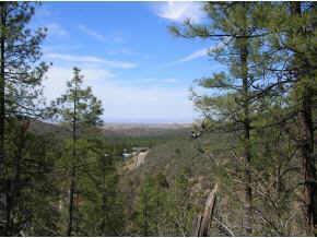 Forest Rd., Prescott, AZ 86302