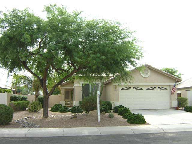 1981 S Spartan St., Gilbert, AZ 85233