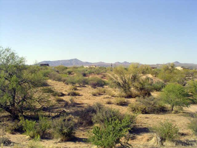 33411 N 139th Way, Scottsdale, AZ 85262