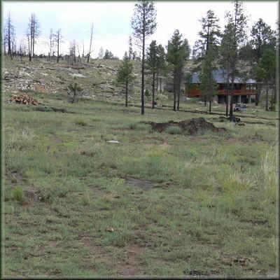 2956 Cardinal Ln. #023, Heber, AZ 85928