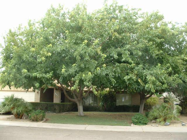 1647 E Fremont Dr., Tempe, AZ 85282