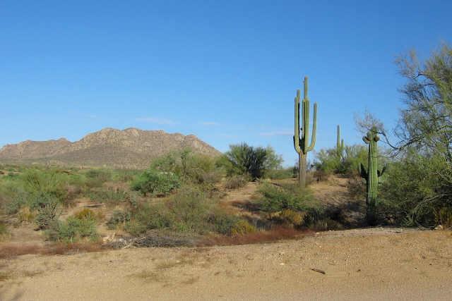 14200 E Dove Valley Rd. #Q, Rio Verde, AZ 85262