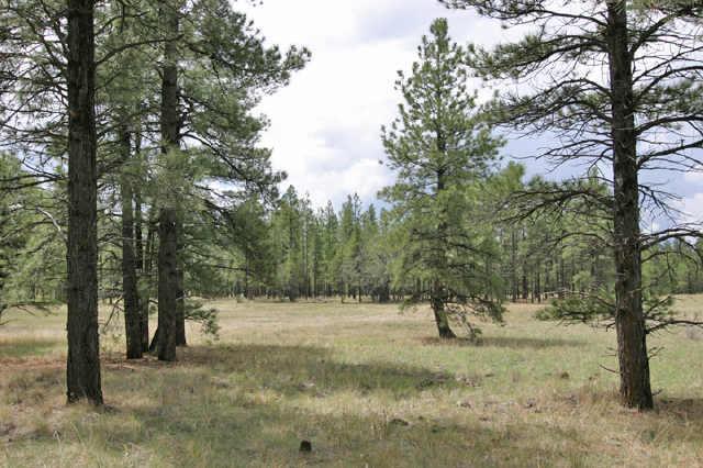 W Lockett Ranches Lot 6l #6L, Flagstaff, AZ 86001