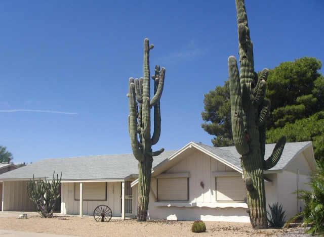 11234 N 110th Dr., Sun City, AZ 85351