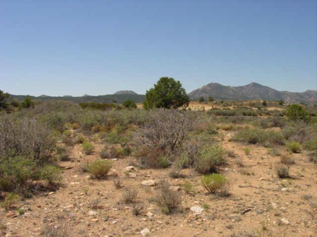 17587 S Tawney Ln. #27, Peeples Valley, AZ 86332