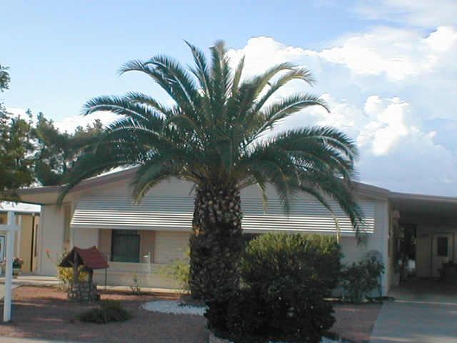 5524 E Harmon Cir., Mesa, AZ 85215