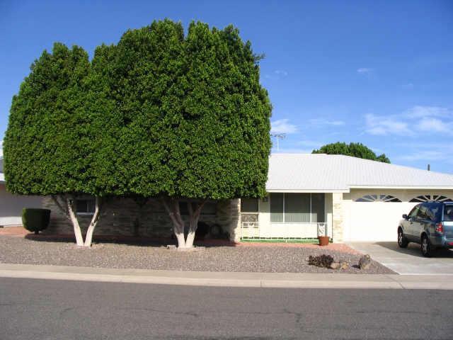 18407 N 96 Dr., Sun City, AZ 85373