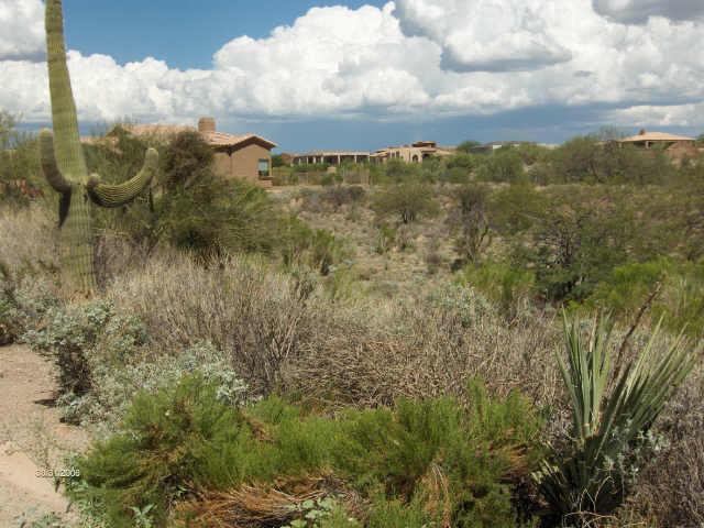 9787 E Gold Bluff Rd. #93, Scottsdale, AZ 85262