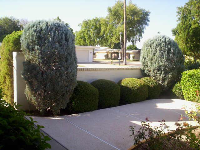10358 W Garnette Dr., Sun City, AZ 85373