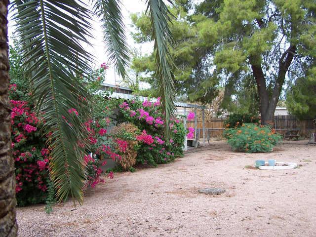 2490 W Scenic St., Apache Junction, AZ 85220