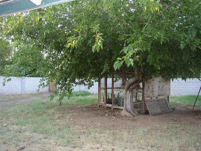 4246 E Cheery Lynn Rd., Phoenix, AZ 85018