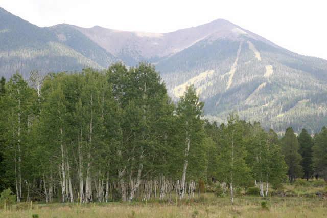 N Hart Praire Fsr 151 Lot 3c Rd. #3C, Flagstaff, AZ 86001