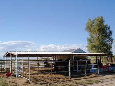 32161 W Trading Post Rd., Maricopa, AZ 85239