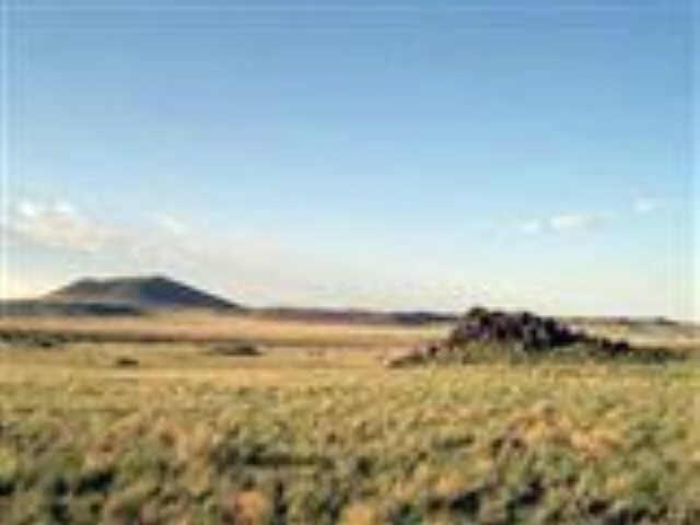 E Alpine Ranches, Flagstaff, AZ 86004