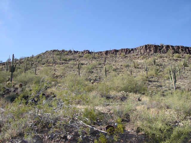 2926 W Maddock Rd., Phoenix, AZ 85086