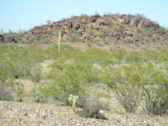 159 W Dynamite Blvd. #1, Surprise, AZ 85387