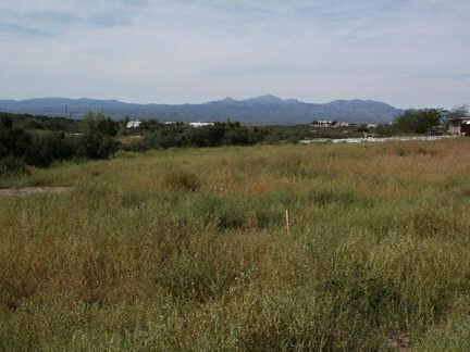 8125 W Hampton Rd. #62, Wilhoit, AZ 86332