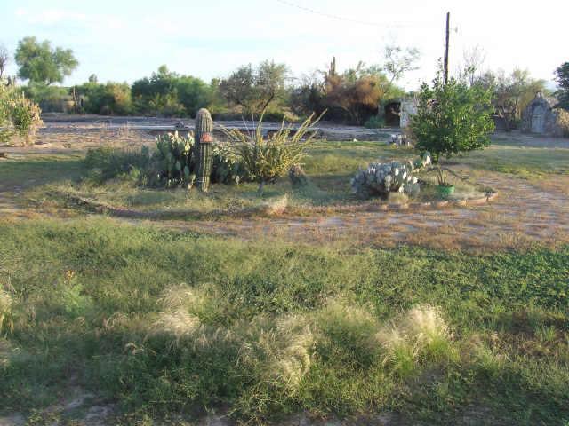 23117 E Sahara Dr., Florence, AZ 85232