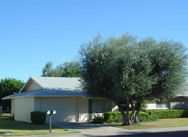 19037 N Signal Butte Cir., Sun City, AZ 85373